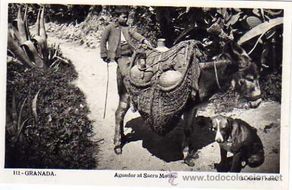 Postais: 111. Granada. Aguador al Sacro Monte. L. Roisin. Acabado fotográfico. Sin circular.